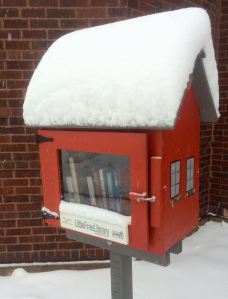 little free library  http://littlefreelibrary.org